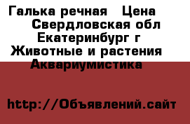Галька речная › Цена ­ 800 - Свердловская обл., Екатеринбург г. Животные и растения » Аквариумистика   